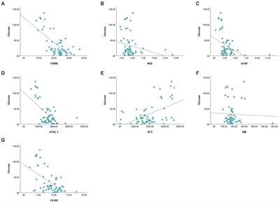 Surveilling brain damage using brain biomarkers in hypoglycemic neonatal calves with diarrhea